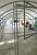 Теплица "Дачница Оптима Усиленная" длина 6 метров с поликарбонатом Berolux